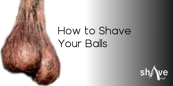Testicle Shaving: The Ultimate Guide to Shaving Your Balls / 